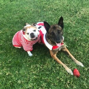 Meet your Posher, Lizette